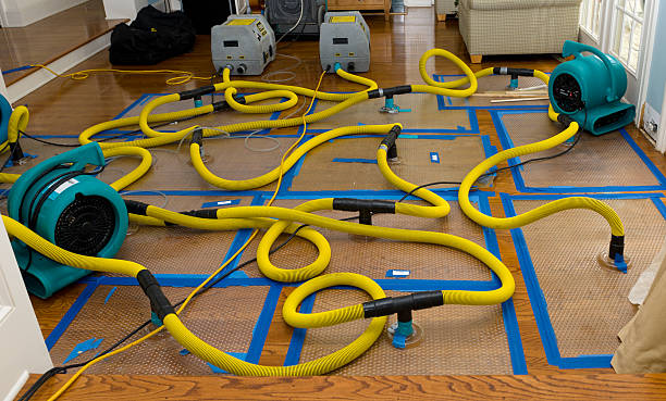 Professional Water Extraction technician working in Suamico, WI
